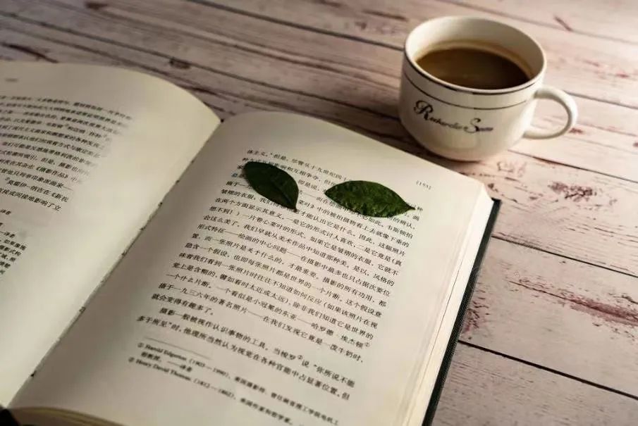 88858cc永利官网